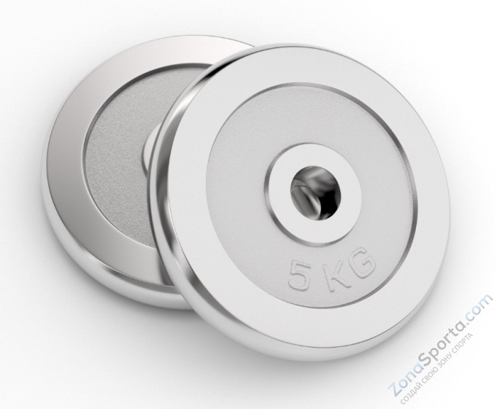 Диск хромированный UNIX Fit 5 кг, 25 мм