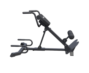 Гиперэкстензия / римский стул DFC MAXXUS GSMX-6