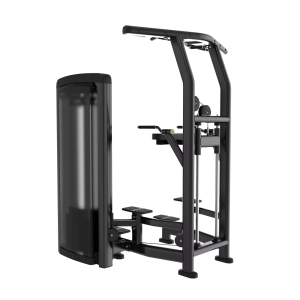 Гравитрон Protrain LFS110