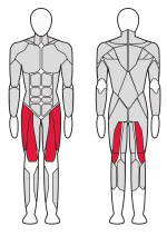 Комбинированный разгибатель-сгибатель бедра сидя Fitex Pro FTX-FF87